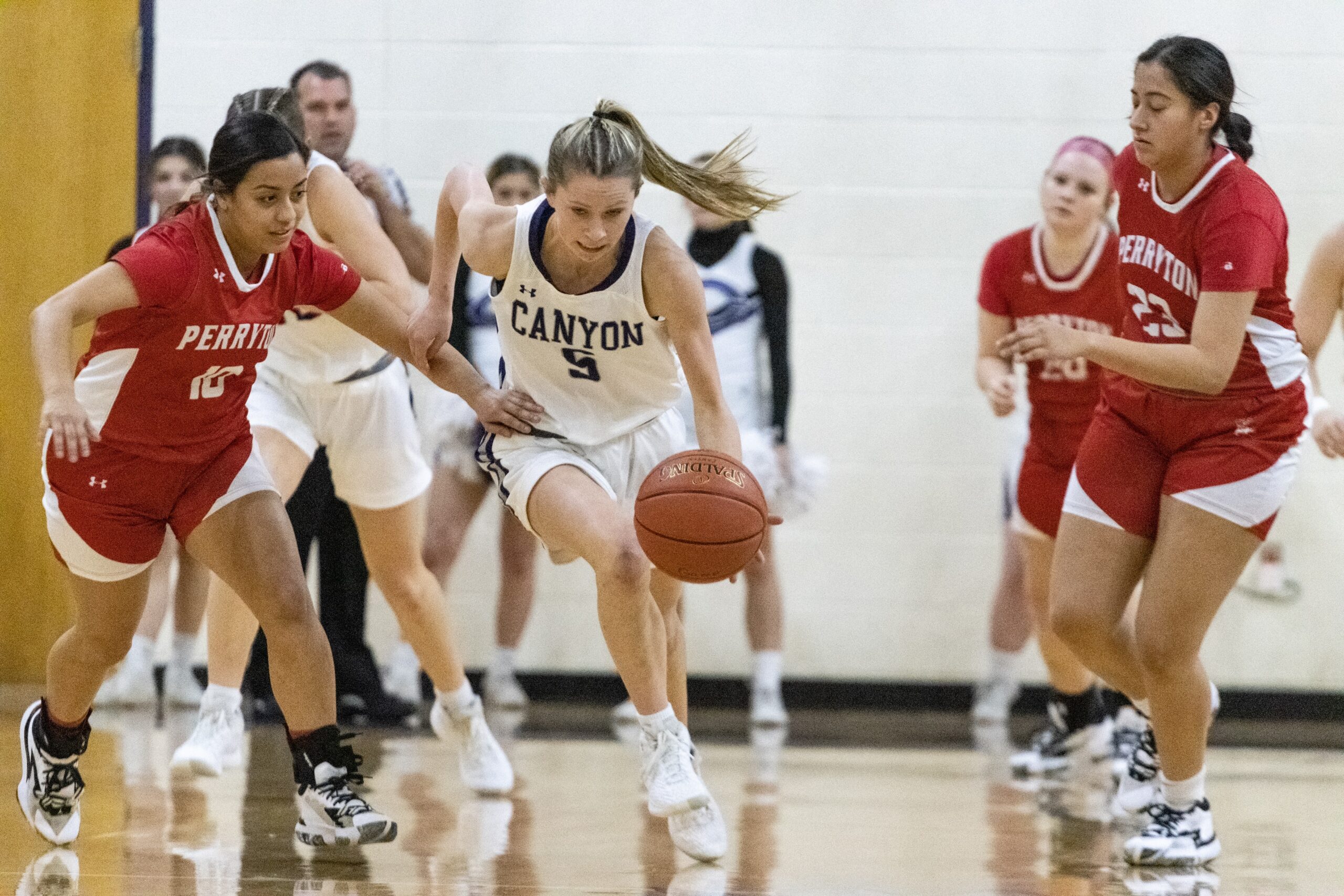 490662_5e37b99d3ccc4dff8b16583cf59fc787~mv2.jpeg | Press Pass Sports 3 things that happened in girls district basketball on Jan. 28