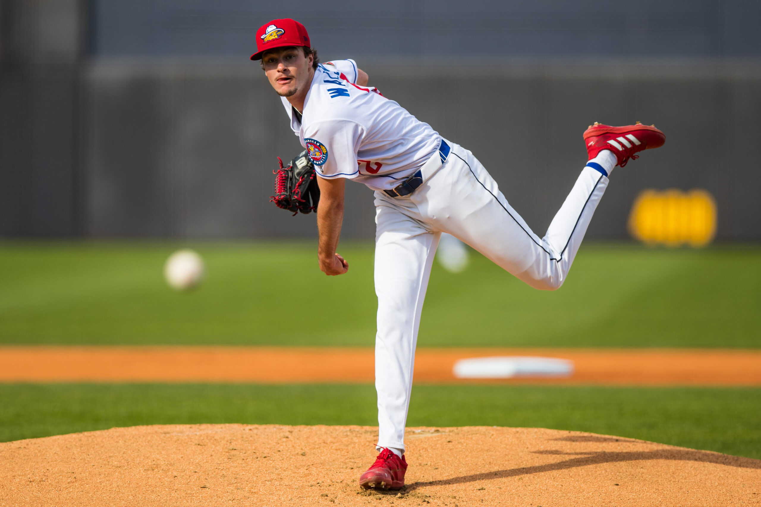 Sod Poodles Blake | Press Pass Sports