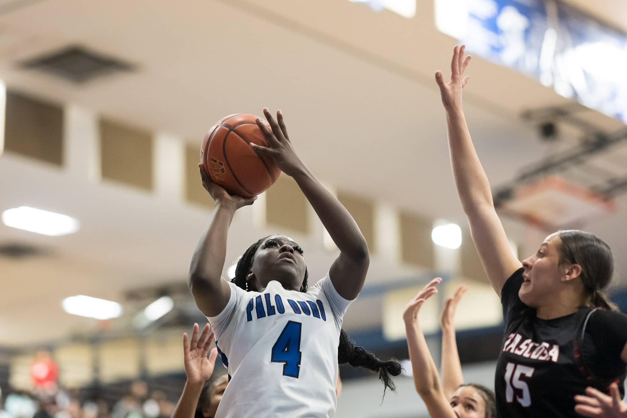 tascosa-vs-palo-duro-basketball-jpegJoe-pps-9 | Press Pass Sports