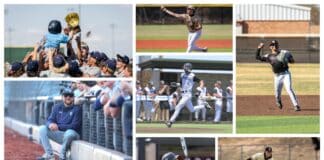 Collage of baseball players in action: celebrating team victory, pitching, throwing, batting, and catching across multiple photos.